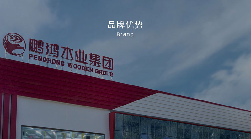 板材品牌、全屋定制品牌、生態(tài)板十大品牌